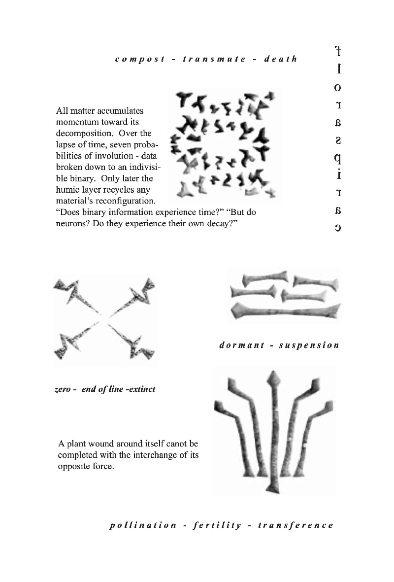 Floraspirae — ecopoetics 2, page 11