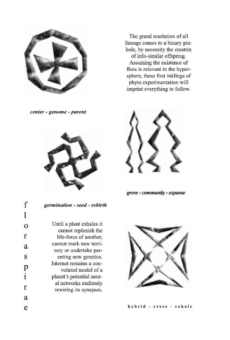 Floraspirae — ecopoetics 2, page 12
