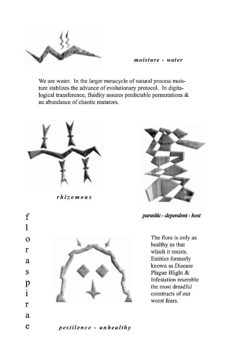 Floraspirae — ecopoetics 2, page 14