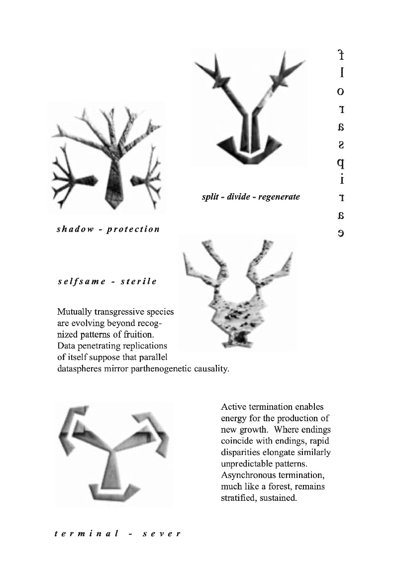 Floraspirae — ecopoetics 2, page 15